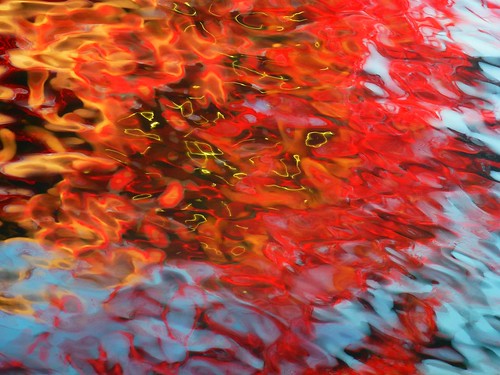 無料写真素材|バックグラウンド|水|赤色・レッド