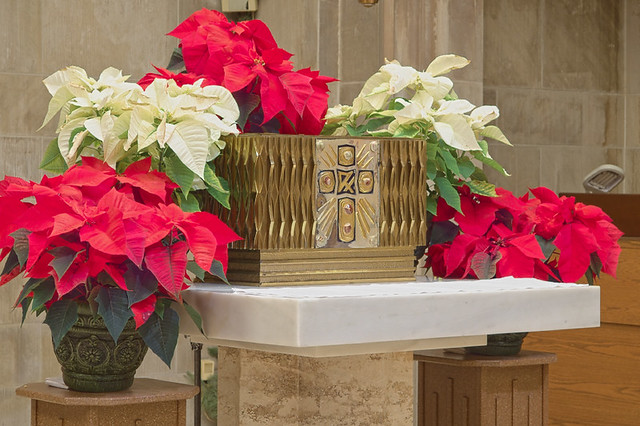 Saint Peter Cathedral, in Belleville, Illinois, USA - tabernacle decorated for Christmas