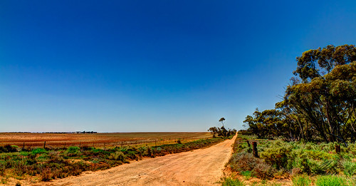 Near Victoria South Australia Border by Glen Adamson