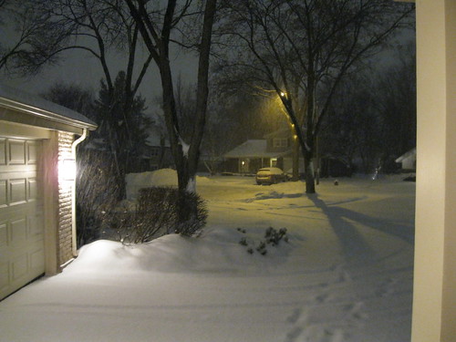 Day 20 - Snowy night by Karin Beil