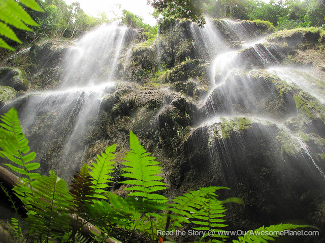 Tumalog Falls, Oslob, Cebu by Aman-12-1.jpg