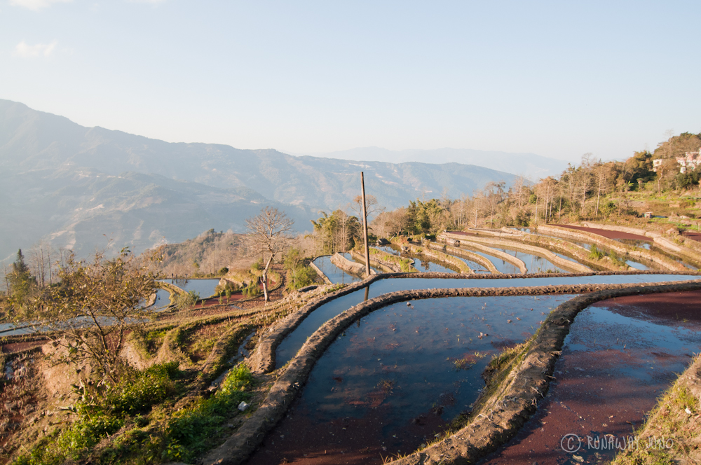 Flooded Yuanyang Rice Terrace
