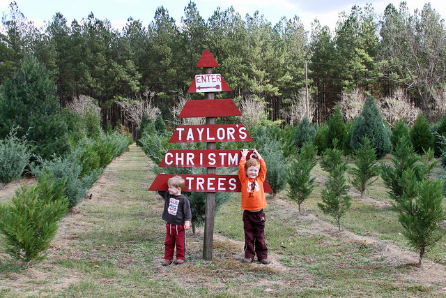 Taylor's Christmas Tree Farm | Flickr - Photo Sharing!