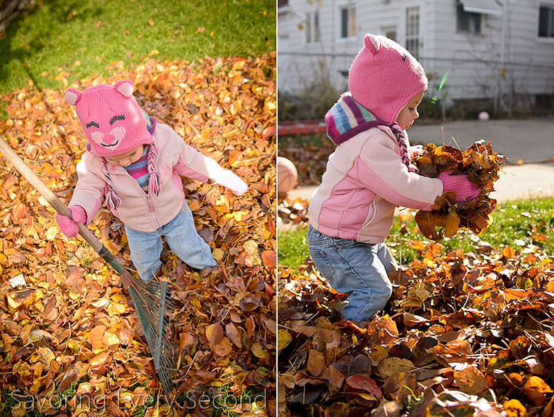 Fall Leaves5-Edit.jpg
