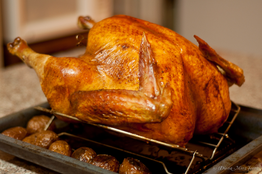 Gratitude | Thanksgiving Feast