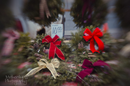 354:365 Lensbaby wreathes for sale