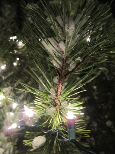 snow, pine and lights