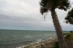 Florida - Jan 2012