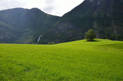 Grass, tree, mountains and waterfall