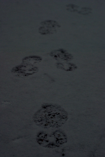 Footsteps in the Snow by Sandee4242