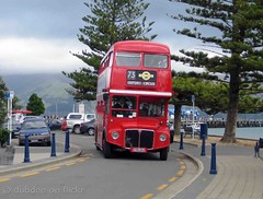 Buses in New Zealand