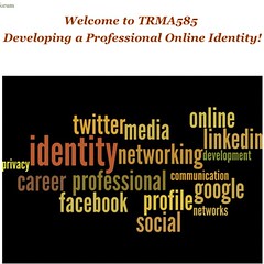 Working on my online professional #identity course - made this #wordle for #moodle site #fun