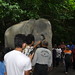 Zoo Taiping-016