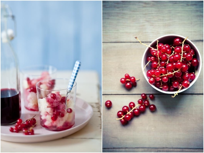 Champagne Sorbet With Red Currant Syrup