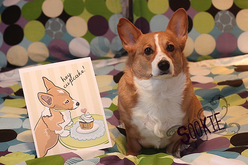 Sookie and her Corgi and Cupcake print by Make Way For Cupcakes