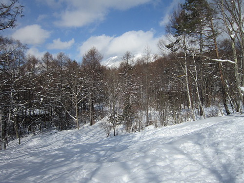 別荘地雪景色  2012.1.29 by Poran111