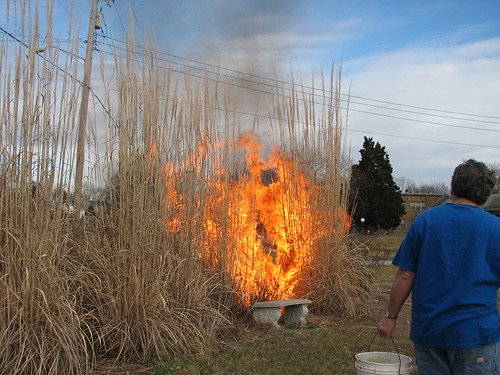 burning the tall grasses