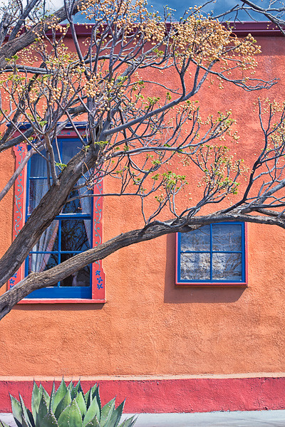 Reflections in Two Windows