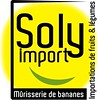 logo Soly