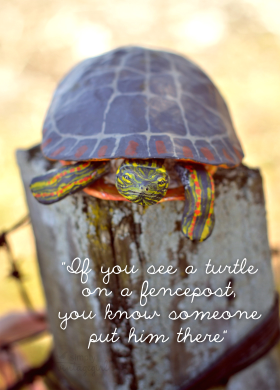 "If you see a turtle on a fencepost...
