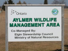 Aylmer Wildlife Management Area