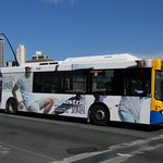 Brisbane Transport 686