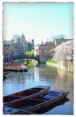Morning walk in Cambridge