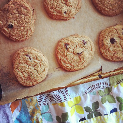 113/366 :: whole wheat chocolate chip cookies
