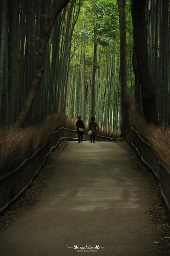Arashiyama 嵐山 - 02