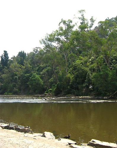 Warrandyte - Yarra River 1