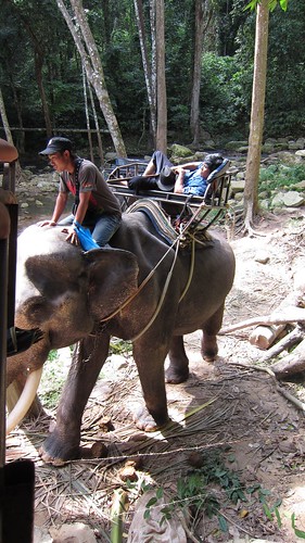 今日のサムイ島 3月12日 象トレッキングと象使い