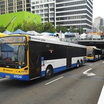 Brisbane Transport 5041, 5042