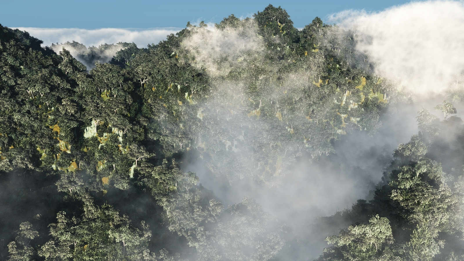 mountain trees mist