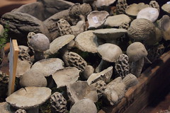 mushroom ceramic at Lichen & Moss