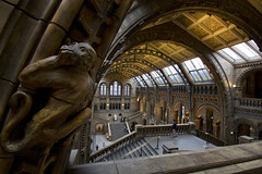 2012-03-07 London - Natural History Museum