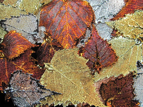 Leaves Painted with Metals