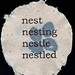 Amanda Gordon Miller: Nest, Nesting, Nestle, Nestled