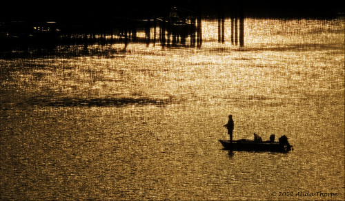 morning fisherman by Alida's Photos