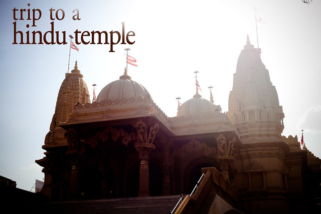 Trip To A Hindu Temple (1)