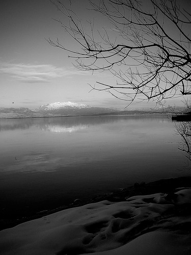 Lake of Shkodra, Albania by rozafa2010