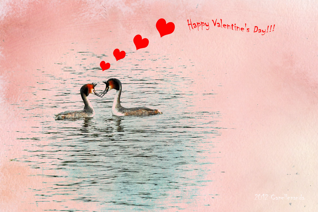 Happy Valentine's Day, my Friends!!!