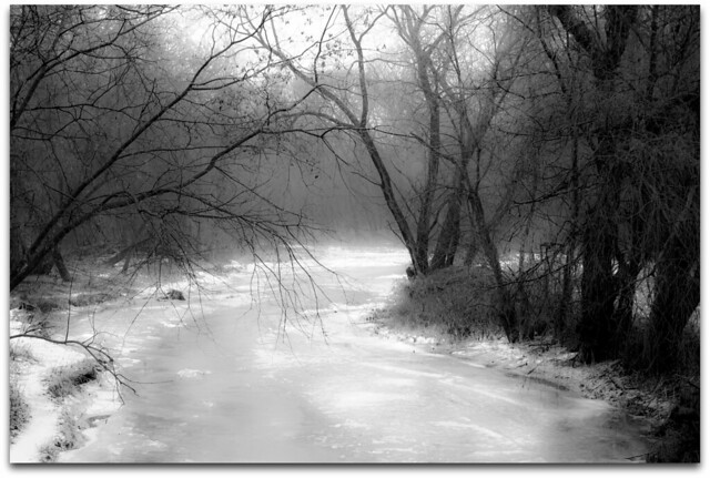foggy morning at Bowmanville Creek