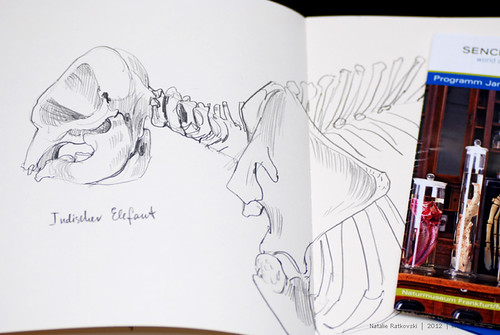 Sketches in Museum of Natural Science