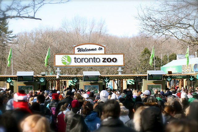 Toronto Zoo - Feb 20 2012