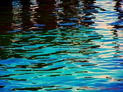 WATER REFLECTIONS