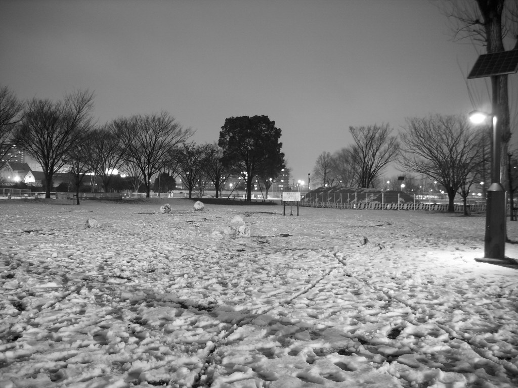 park van sneeuw
