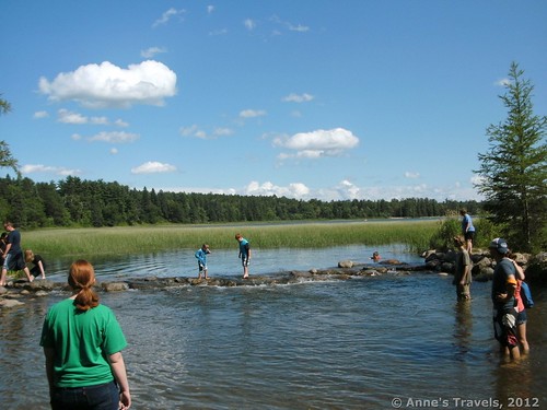 Headwaters of the Mississippi River, Itasca State Park, Minnesota