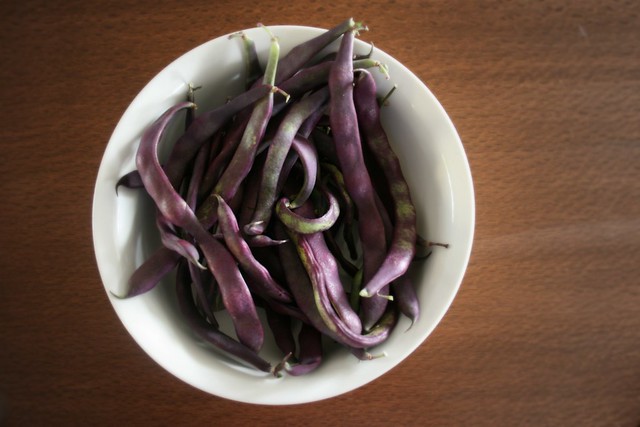 Purple bean harvest