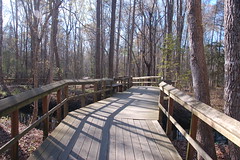 Walterboro Great Swamp Boardwalk