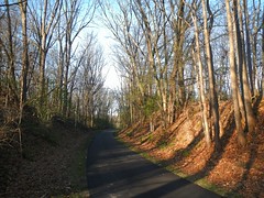 Pumpkinvine Nature Trail